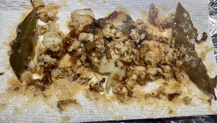 A1385790-5611-4728-9A60-C3694F67D2D2_1_201_a