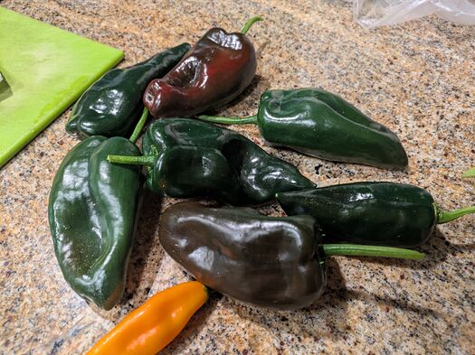 PXL_20251106_211600357