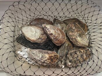 17619359735244489462997190613817