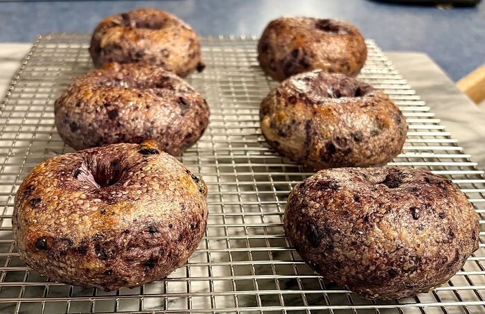 BB Bagels Hot Out of the Oven