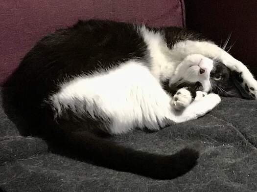 laszlo