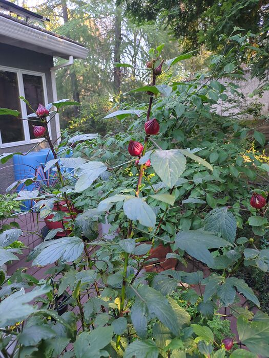 17616077434314728107983838600567