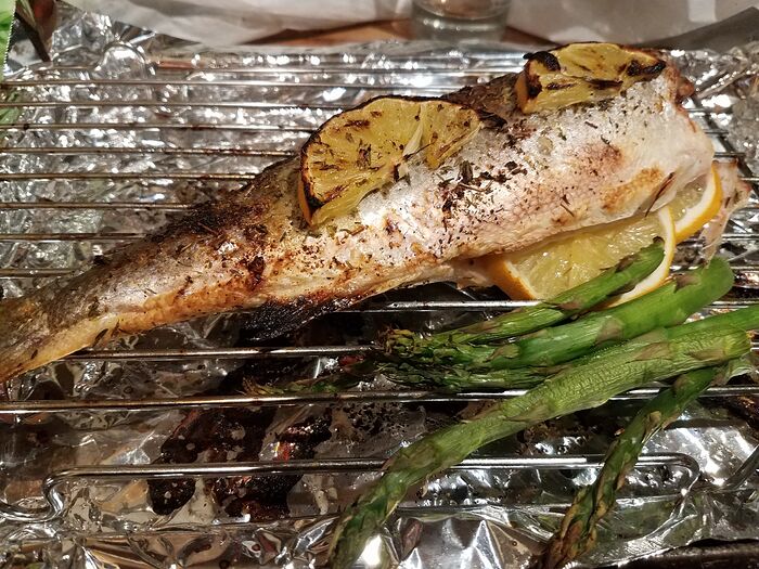 BranzinoOven20251120_194919