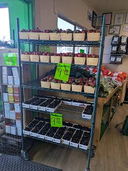 PXL_20260312_180342313