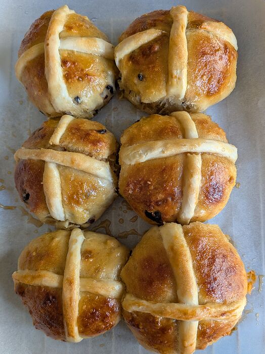 PXL_20260403_170026982~2