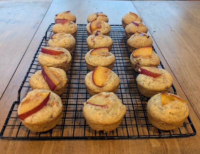 PXL_20251029_180914625.MP~2