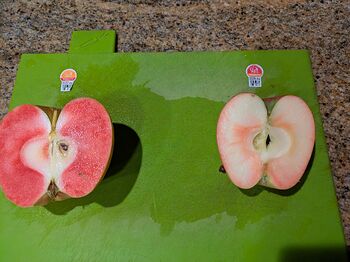 PXL_20251029_222120401