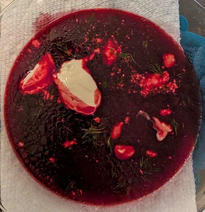 PXL_20251226_174606774~2