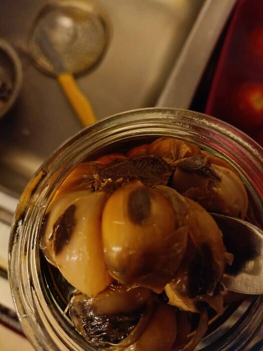 WhatsApp Image 2025-10-06 at 6.40.06 PM