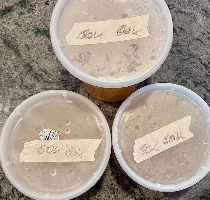 4CE66056-1D92-4A8E-AF4D-8EBDC7F65AC6_1_201_a