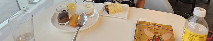 air france lounge 2