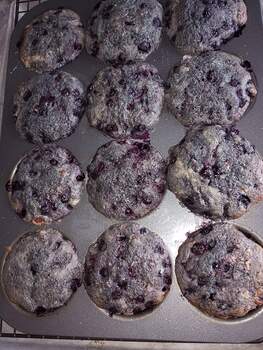 Feb 19 blueberry whole wheat muffin tops