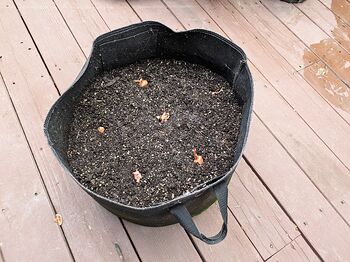 PXL_20251111_215338787