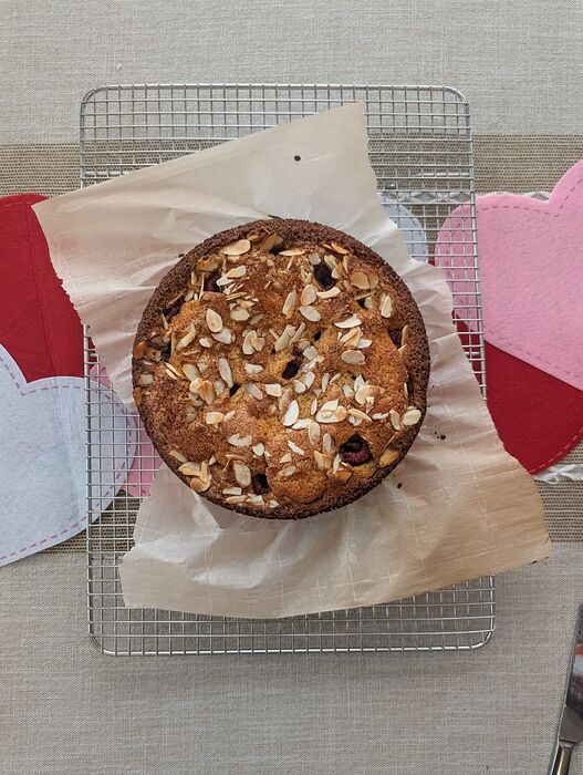 PXL_20260126_201103509.MP~2