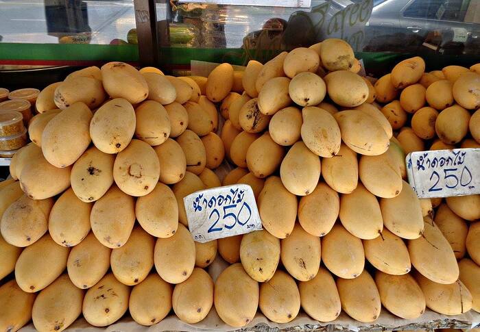 556094631_10228007005350074_5171862286607710154_n