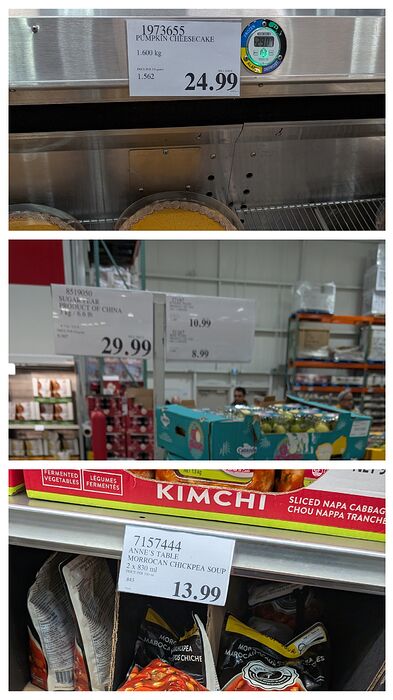 20260109_210441-COLLAGE