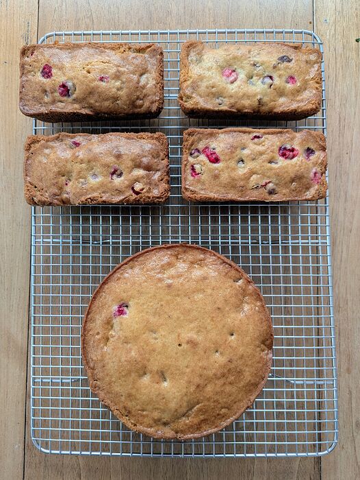 PXL_20251214_211637475~2