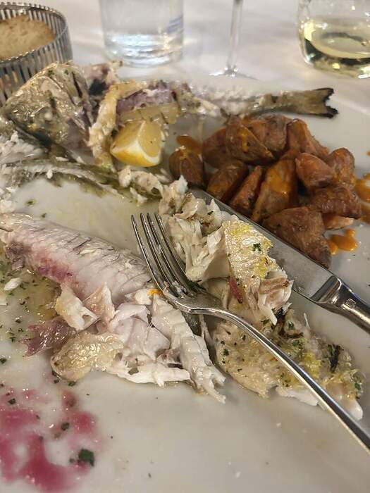 FC65C1A7-8BF7-478C-B345-7FF2D88C4FE5_1_105_c