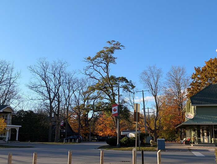 PXL_20251101_205037454~2