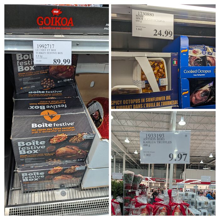 20251221_185957-COLLAGE