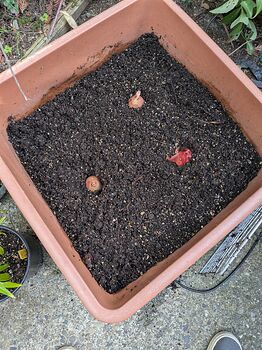 PXL_20251111_221910255