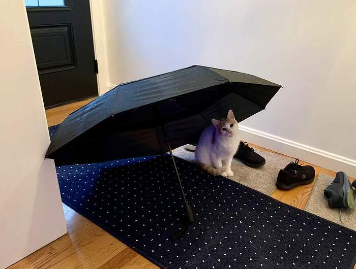 D8C802C0-0796-4B95-B47B-F87A78806DAF_1_105_c