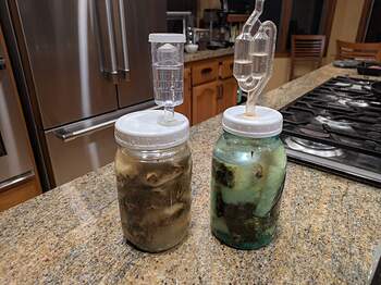 PXL_20260313_045036758