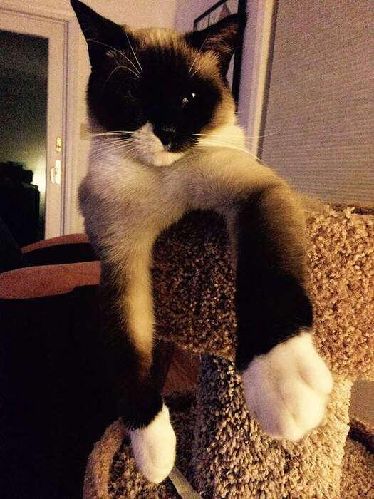 2AFBBF28-E654-40CA-87B4-0A2A18973906_1_105_c