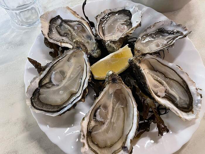 chez jean oysters