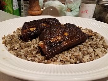 RibsB20251030_193219