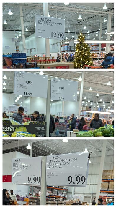 20251206_154646-COLLAGE