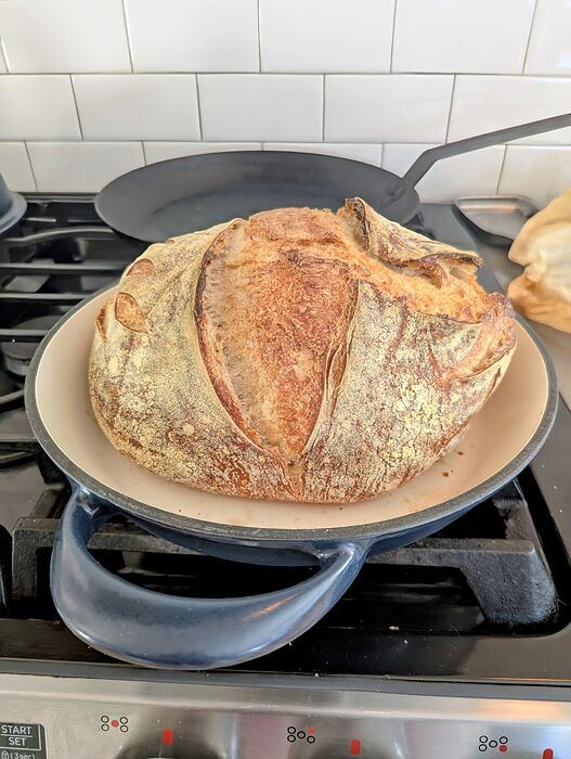 PXL_20260120_153111529.MP~2