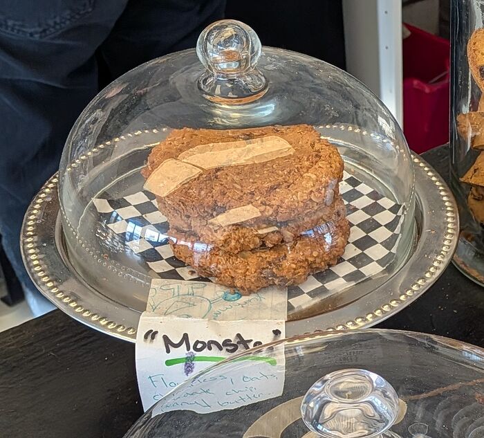 PXL_20260131_193837466~2