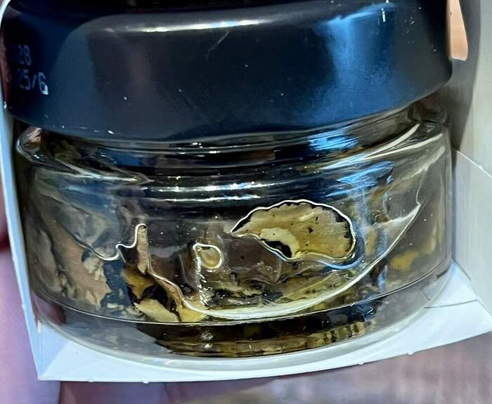 9038B131-AECB-49EB-BCC0-715FA9A96F77_1_105_c