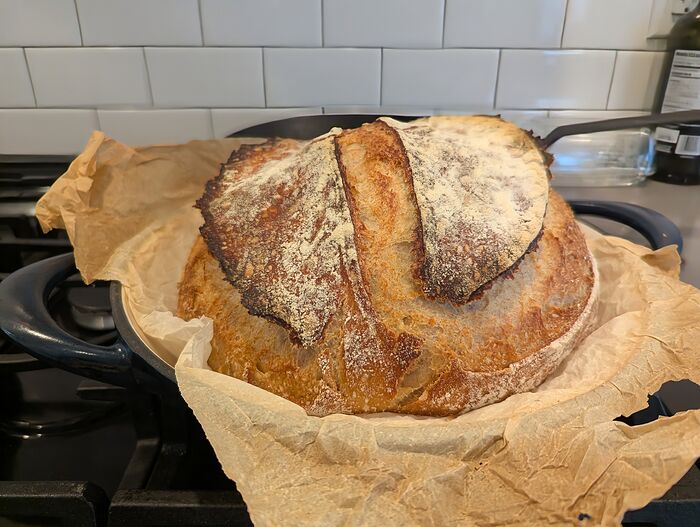 PXL_20260124_151951038.MP~2