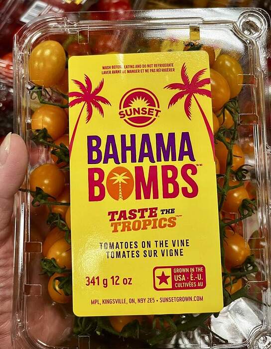 55A4EE05-FEBE-4823-AF59-6026F7E3A299_1_105_c