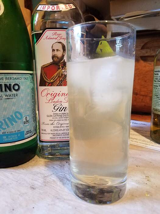 GinTonic20260324_180640