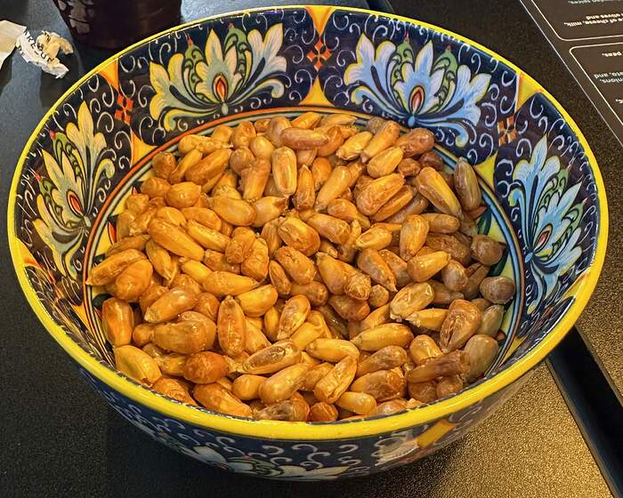 2026 - 02 - 27 - Uncle Marco's Cancha Serrana Peruvian corn nuts