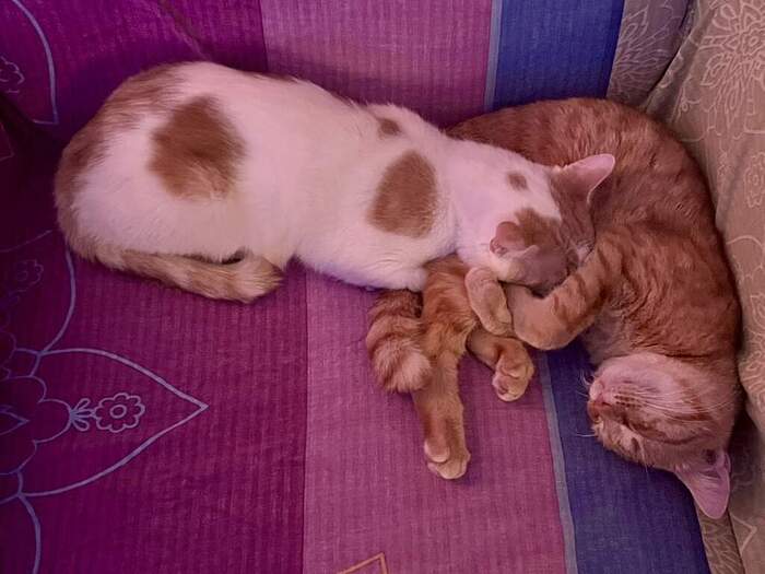 CD1C044E-16A3-4D66-9FF6-5F84F6687FCB_1_105_c