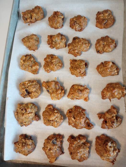 Fruitcake cookies for us Dec 14