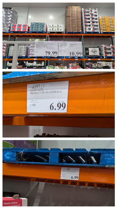 20260123_205541-COLLAGE