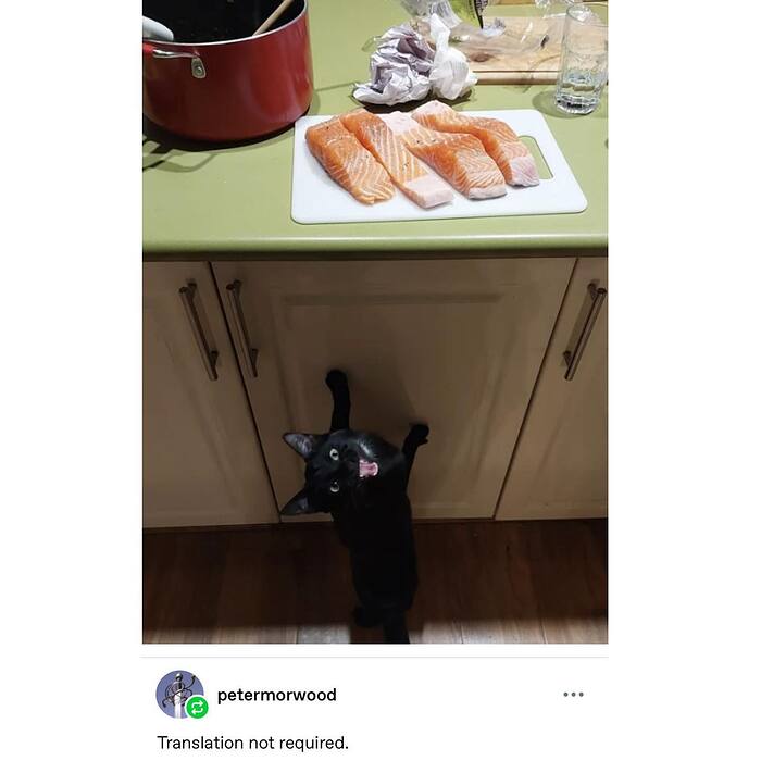 551975337_789108463669973_1304881611106564308_n