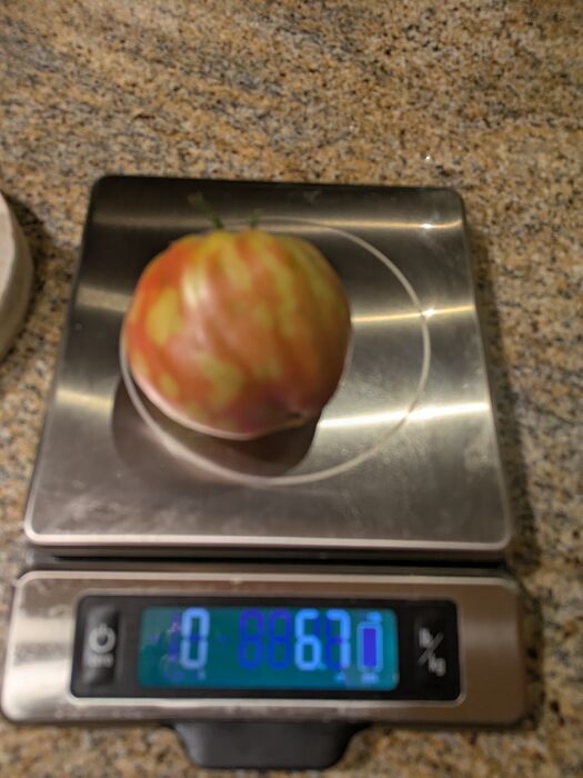 PXL_20250826_023509233.MP