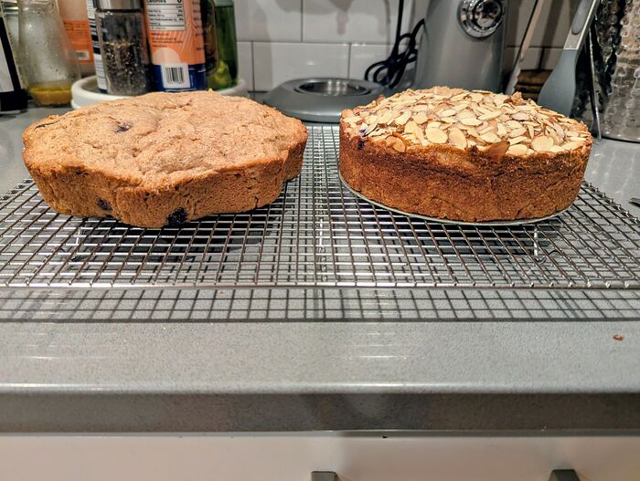 PXL_20260327_004951876.MP~2