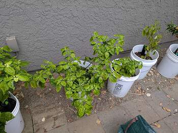 PXL_20251223_203832533