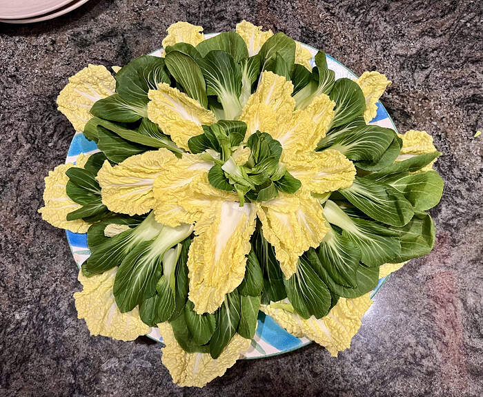 5783B496-7E32-445B-B9A2-3FE423911205_1_201_a