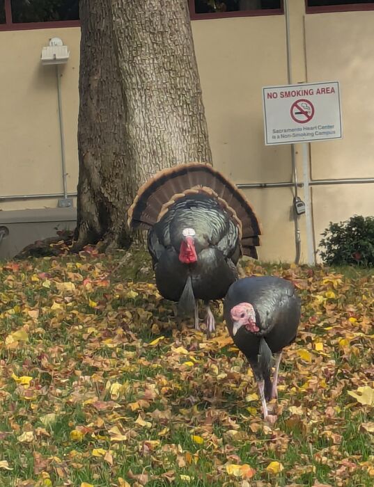 PXL_20251112_211501943