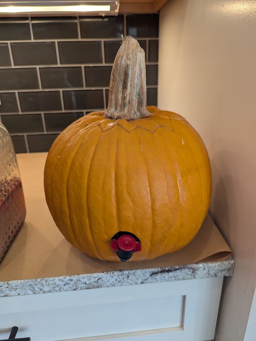 PXL_20251127_190416058.MP