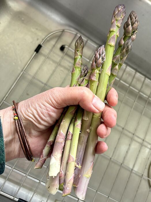 Asparagus