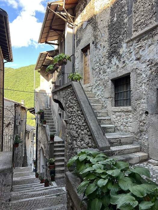 D242B7E0-7B95-4119-9327-EE3D00AAC201_1_105_c